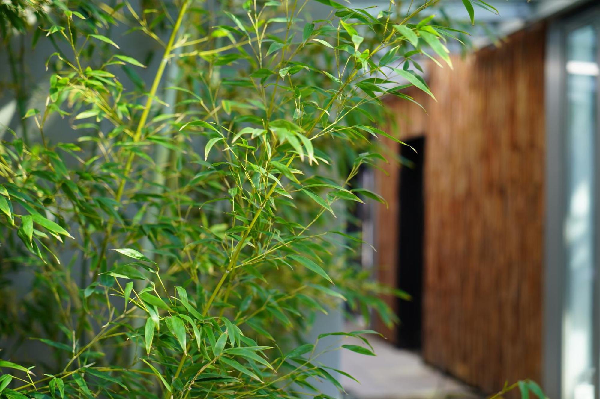 Sly Berlin Hotel Bagian luar foto Bamboo